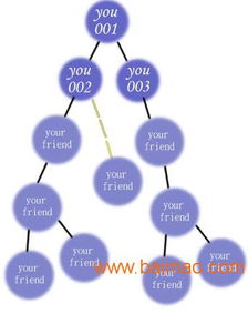 会员直销管理系统 软件开发、销售与财务管理综合解决方案